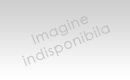 Dell Inspiron N5010 pink Dell Inspiron N5010 pink